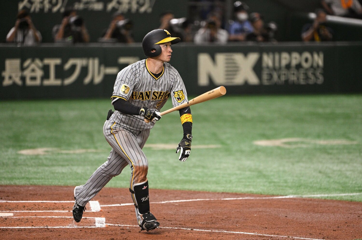 近本は「左投左打」の代表格だ　©Nanae Suzuki