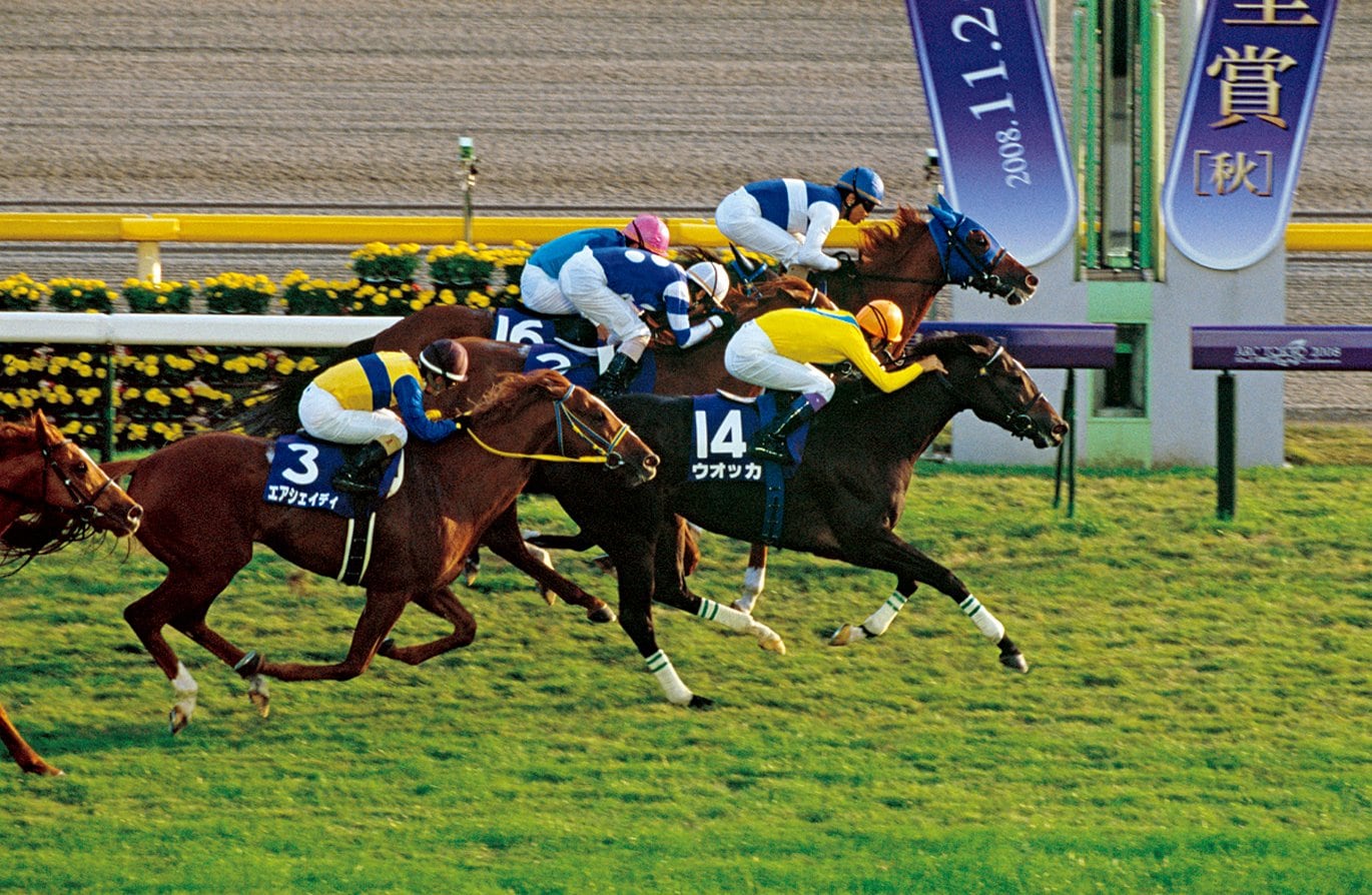 2008年天皇賞・秋のウォッカ ©︎JRA