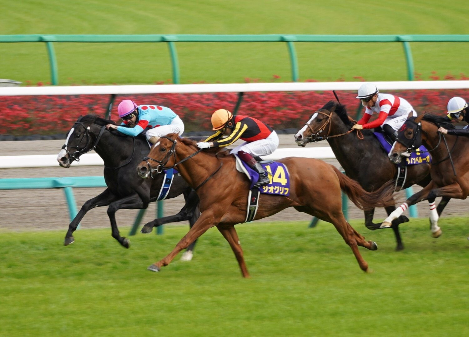 ストレイトガール 阪神牝馬ステークス 現地単勝馬券 記念馬券 外れ