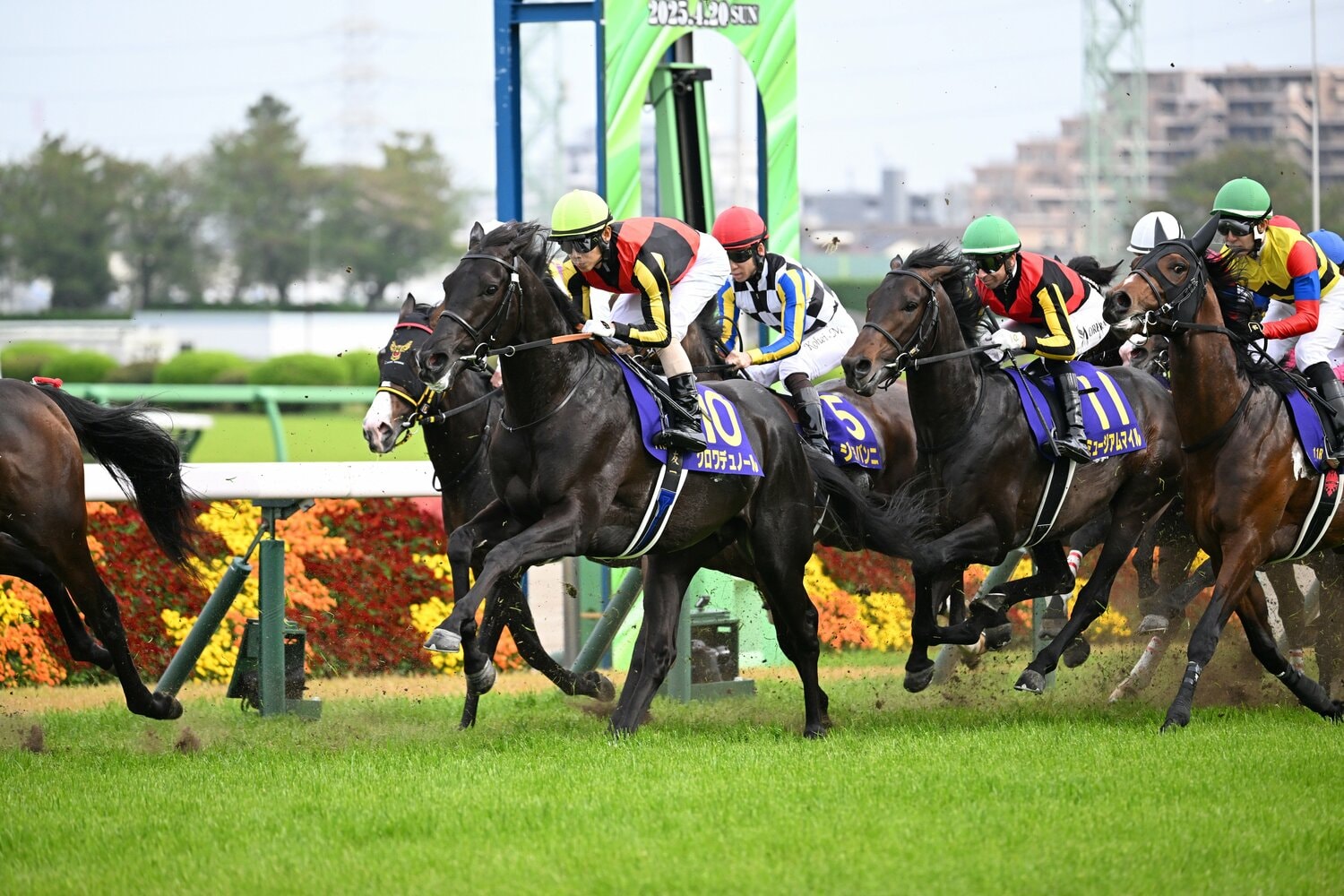 1コーナー手前でクロワデュノールの2馬身後方につけるミュージアムマイル　©Keiji Ishikawa