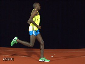 マカウが最も重視するのは体力を浪費しないこと。「飛ばずに、前へと進むことだけに集中している」