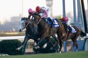 【人気】「あなたが選ぶ最高の有馬記念」ベスト5発表！ オグリキャップかトウカイテイオーか…わずか14票差の1位は？《1100人アンケート》