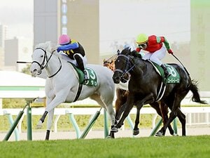 阪神JF、“シラユキヒメ一族”ソダシが白毛馬史上初のGI制覇か　武豊騎乗、もう1頭の白毛一族出身も強い