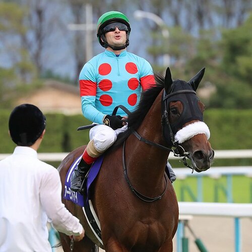 今の日本で一番強い、特別な馬」アーモンドアイが完勝で牝馬三冠