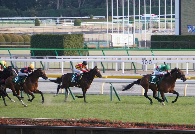 一頭抜けていた共同通信杯のエフフォーリア（右）