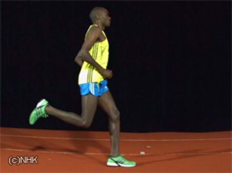 マカウが最も重視するのは体力を浪費しないこと。「飛ばずに、前へと進むことだけに集中している」 