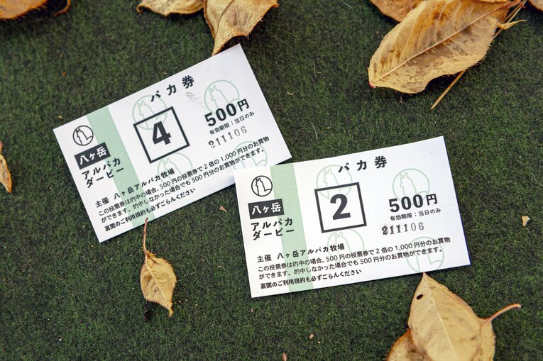 1枚500円の「パカ券」。ちびっこから大人まで、観客はこれを握りしめてダービーの発走を待つ