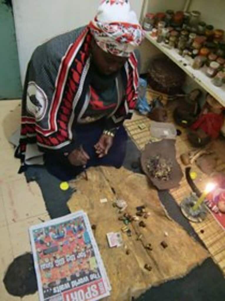 ドイツのタコより凄い占い師登場。南アW杯優勝国はオランダである！(2)