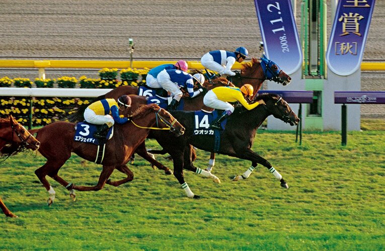 2008年天皇賞・秋のウォッカ　©︎JRA