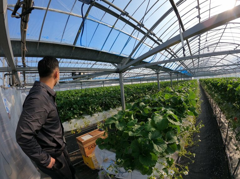 指導者にならないJリーガーは何をする？ 徳永悠平が麦わら帽と長靴姿でスイートコーンを栽培するワケ(10)