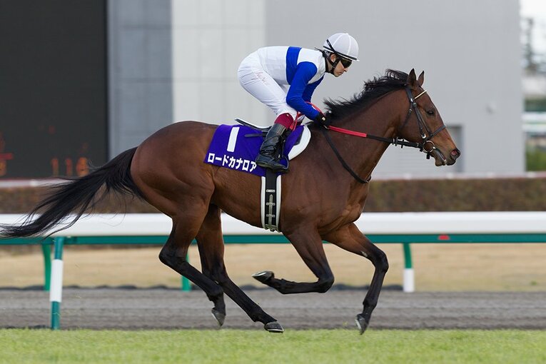 ロードカナロア ／ photograph by Getty Images