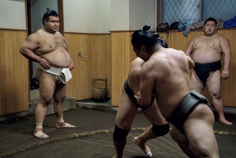 高安 晃TAKAYASU AKIRA 1990年2月28日生、茨城県出身。本名・高安晃。鳴戸部屋→田子ノ浦部屋。2005年三月場所で初土俵。'11年七月場所で新入幕。最高位は大関（15場所）。'25年五月場所は東小結。殊勲賞4回、敢闘賞6回、技能賞3回。優勝同点・次点は9回を数える。188cm、176kg　©Kanekoyama