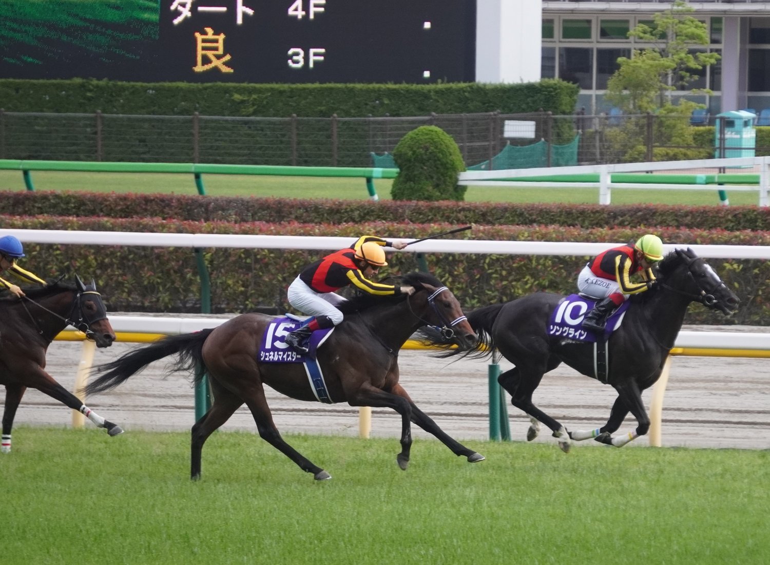 NHKマイルでは粘るソングラインを最後で捉えての1着だった　©Satoshi Hiramatsu