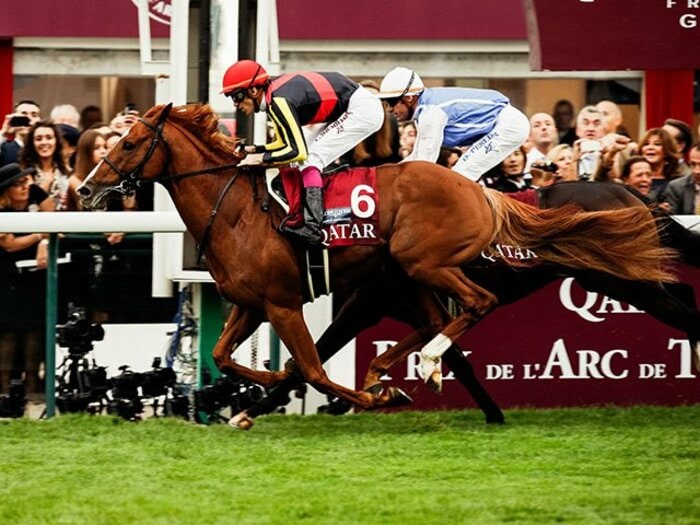 〈凱旋門賞“2年連続”2着〉現地前哨戦での好走がオルフェーヴルの偉業を生んだ…知られざる「鼻先蹴り上げ事件」が示す“日本馬勝利の条件”＜Number Web＞ photograph by AFLO