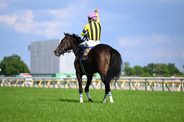 オークス直前に顔面を蹴られて放馬…発走“15分の大遅延”はなぜ起きたのか？「多くの馬の戦いは、スタート前に終わってしまった」(26)