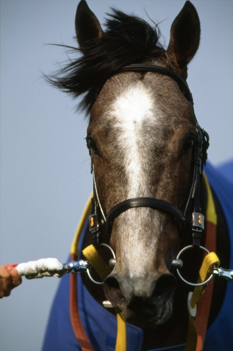 1998年皐月賞を制したセイウンスカイ　©Tomohiko Hayashi