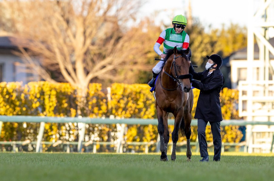 年度代表馬エフフォーリアはGIを何勝するのか? 2022年“平地GI全24レース”の勝ち馬を大予想《昨年は5レース的中》<Number Web> photograph by Photostud