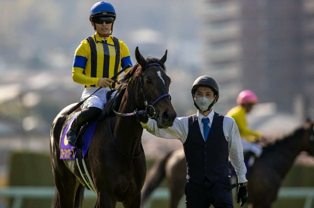 ☆日本の職人技☆ 桜花賞オークス馬競走馬色紙イラスト JRA競馬