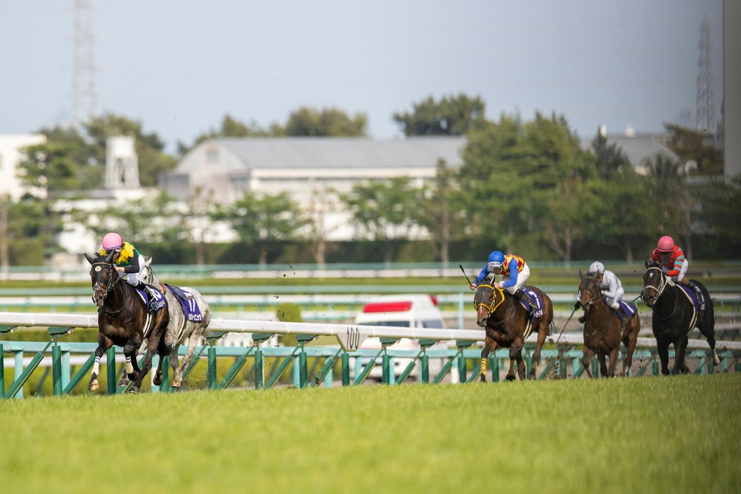 16番枠から積極的に先頭に立つ競馬で、終わってみれば7馬身差の完勝となった　©Photostud