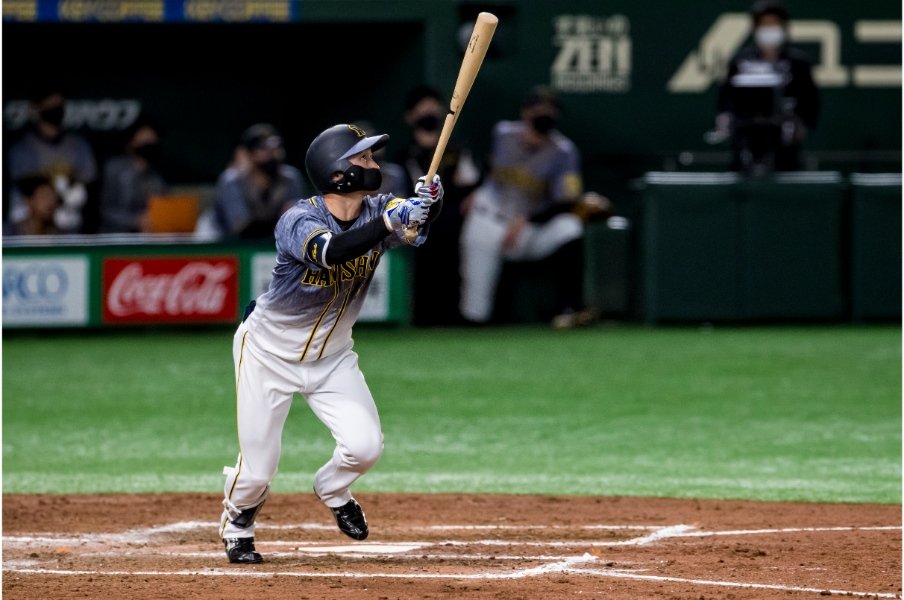 端正なマスクで女性人気も高い近本©Kiichi Matsumoto