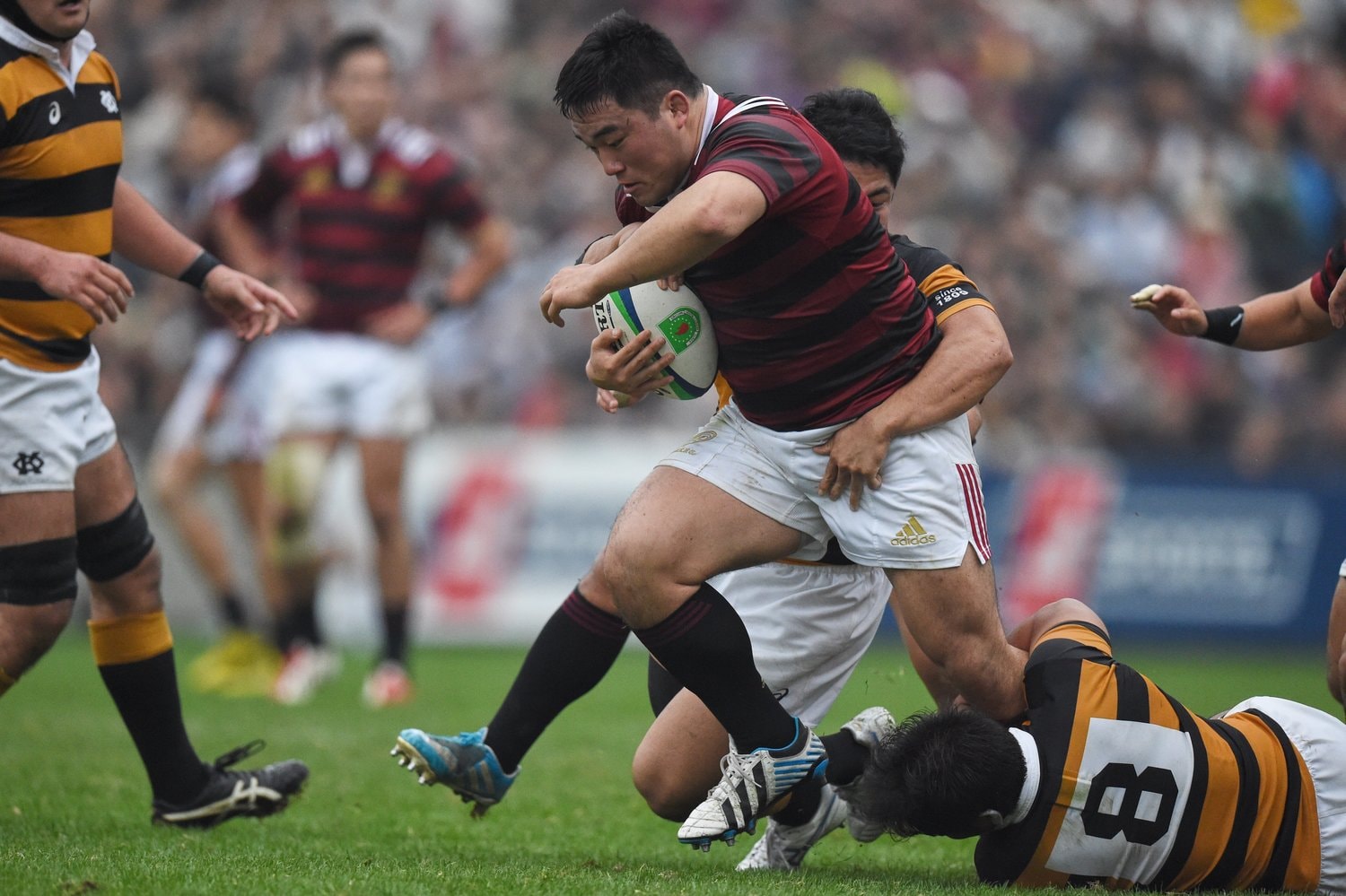 対抗戦で慶應大のタックルを弾き飛ばす千葉太一。現在はリコーブラックラムズでプレー　©AFLO SPORT