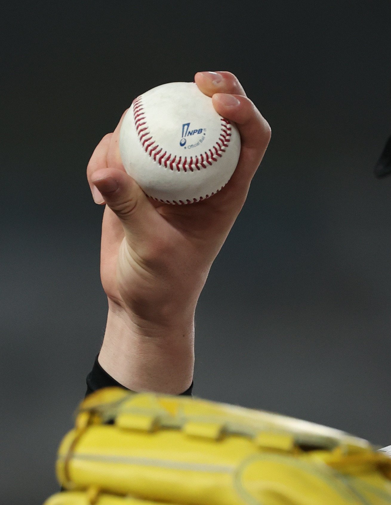 こちらはNPB（日本プロ野球機構）の公式試合球　©JIJI PRESS