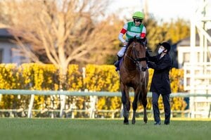年度代表馬エフフォーリアはGIを何勝するのか？ 2022年“平地GI全24レース”の勝ち馬を大予想《昨年は5レース的中》