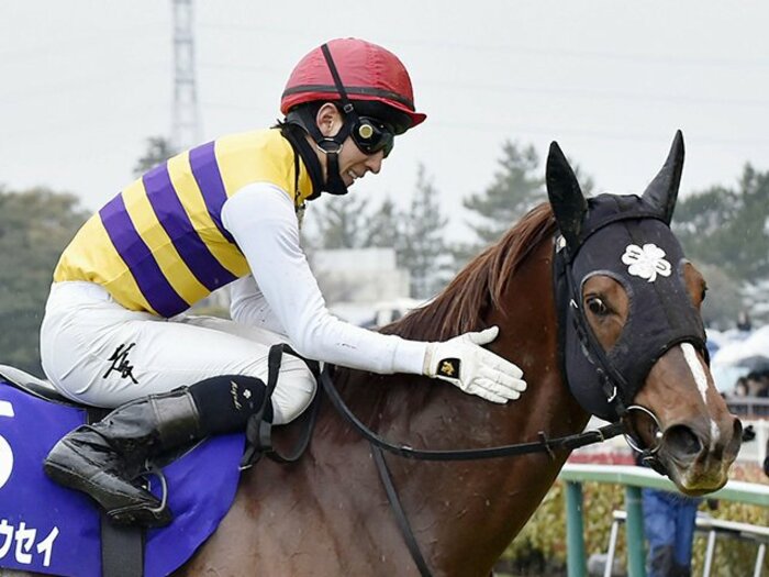 高松宮記念とドバイでの3GI。佐々木主浩の眼も運も世界クラスだ！＜Number Web＞ photograph by Kyodo News