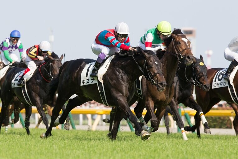 【10位　キズナ、初の種牡馬リーディング】ジャスティンミラノらの活躍で、2013年のダービー馬キズナが初のリーディングサイアーに　©Getty Images