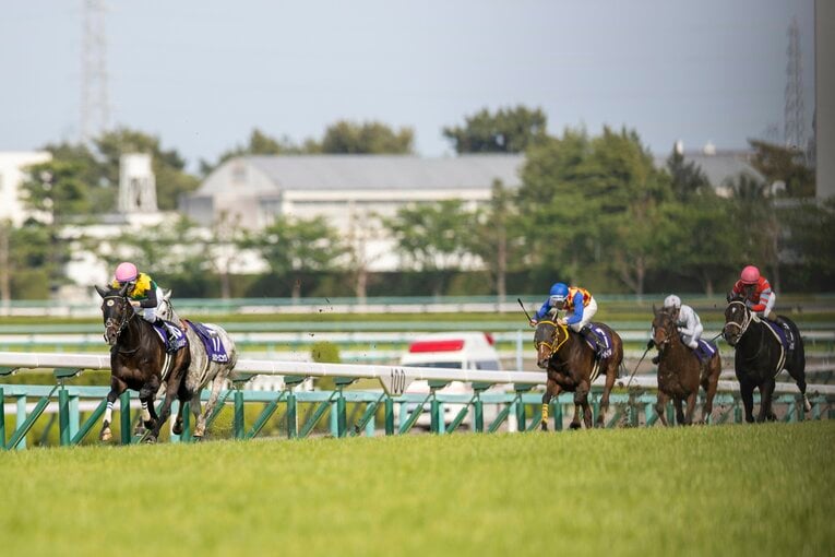 16番枠から積極的に先頭に立つ競馬で、終わってみれば7馬身差の完勝となった　©Photostud