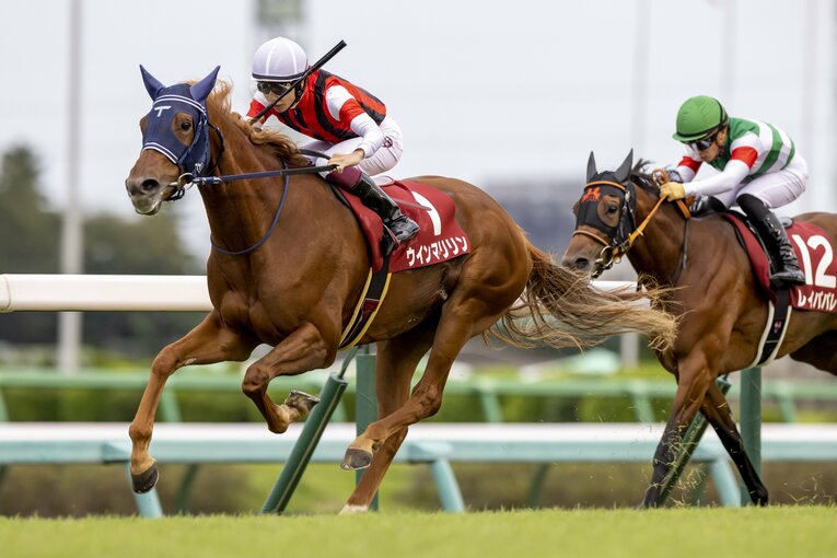 前走オールカマーではウインマリリンが1着、レイパパレは4着だった　©Photostud