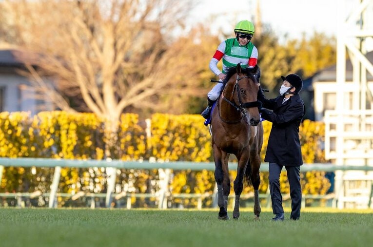 昨年は皐月賞、天皇賞・秋、有馬記念（写真）を制し、文句なしの年度代表馬に輝いたエフフォーリア。2022年も勲章を積み重ねていくことが予想される ／ photograph by Photostud