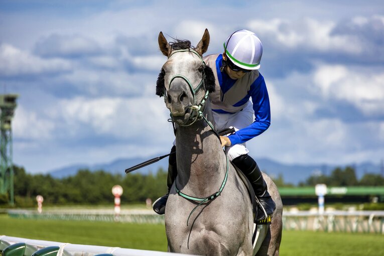 リフレイムと野中悠太郎 ／ photograph by photostud