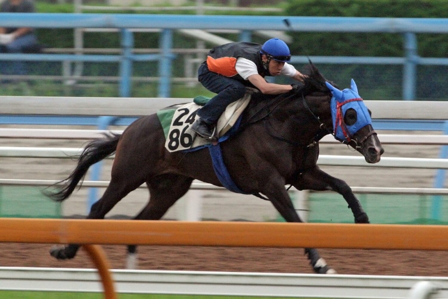 調教中のモノポライザー ©Yuji Takahashi