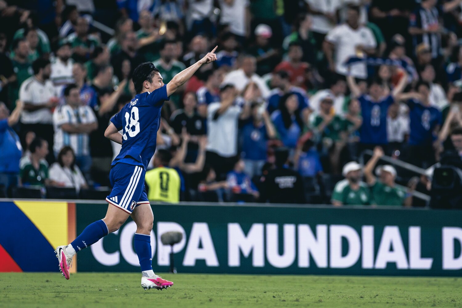©Kiichi Matsumoto/JMPA