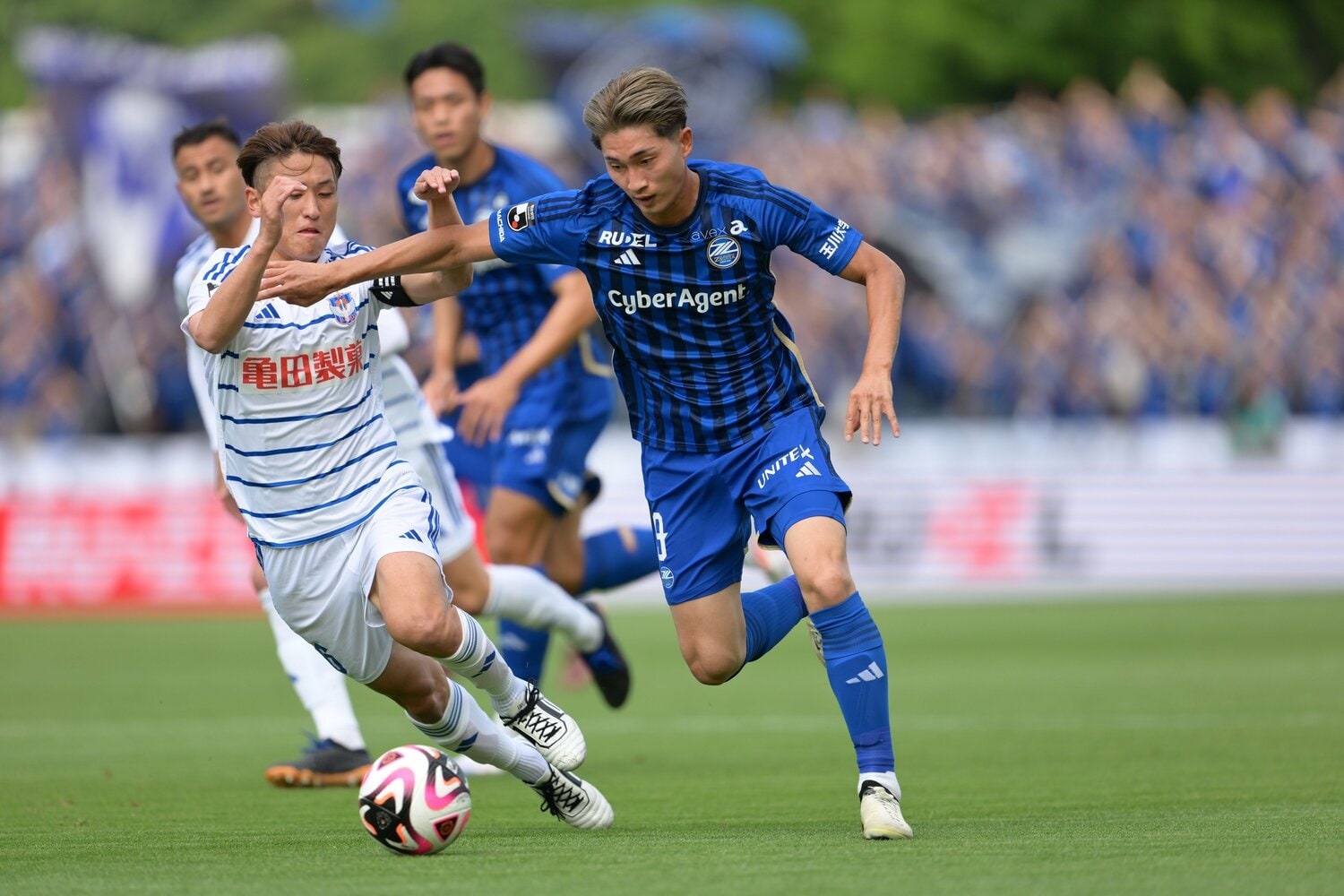 新潟戦での藤尾　©FCMZ