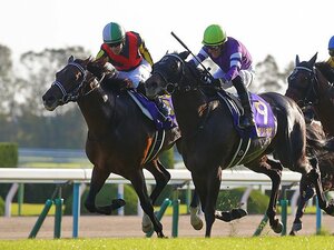 ルメールの判断、度胸、運は段違い。4戦目の馬で菊花賞制覇の名手ぶり。