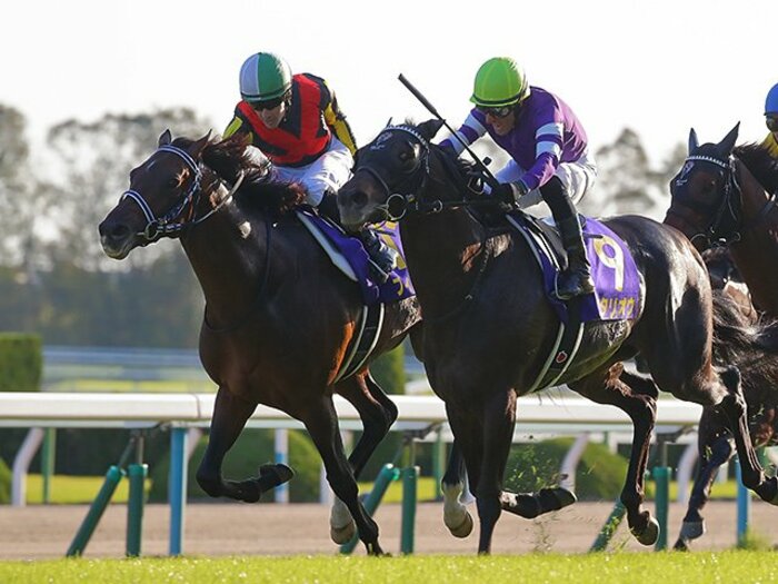 ルメールの判断、度胸、運は段違い。4戦目の馬で菊花賞制覇の名手ぶり。<Number Web> photograph by Yuji Takahashi