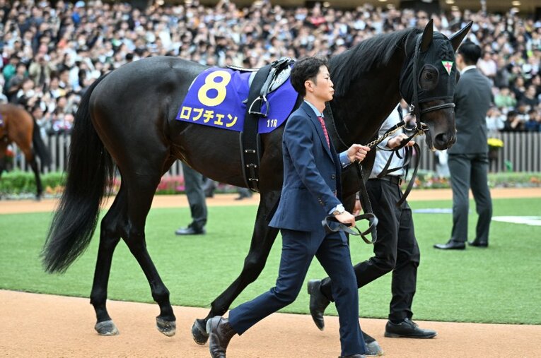 菊花賞で三冠達成を期待されたロブチェン。パドックの序盤はそれほど発汗していなかったが、次第にゼッケンの下が白く泡立っていった ／ photograph by Keiji Ishikawa