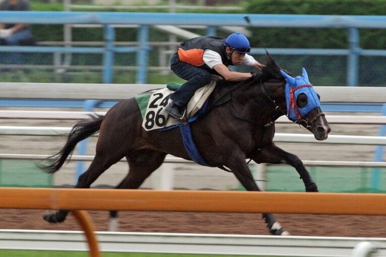 調教中のモノポライザー　©Yuji Takahashi