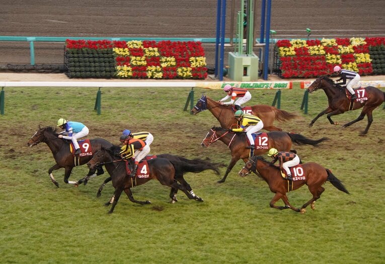 アメリカジョッキークラブCを制したアリストテレス　©Satoshi Hiramatsu