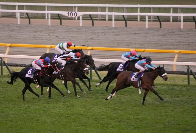 20年のジャパンカップ（2400m）ではアーモンドアイら「三強」に続く4着に入ったカレンブーケドール（白帽）