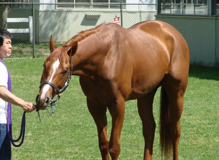 カジノドライヴ　©Satoshi Hiramatsu