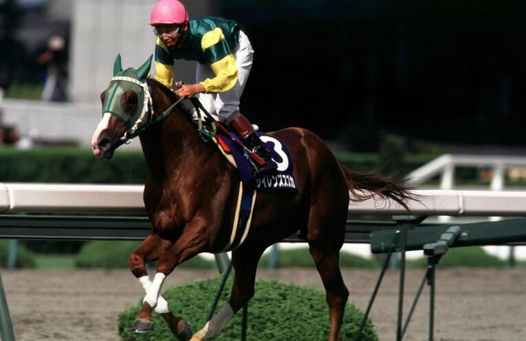 第39回宝塚記念で初のGI制覇を果たした　©Tomohiko Hayashi