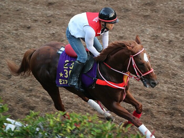 春はまさかの連闘で安田記念制覇。モズアスコットがマイルCSも最有力。＜Number Web＞ photograph by Yuji Takahashi
