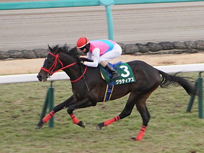 京成杯優勝のグラティアスがルメールのクラシック戦線パートナーに? 「フラフラしたけど楽勝でした」<Number Web> photograph by Satoshi Hiramastsu