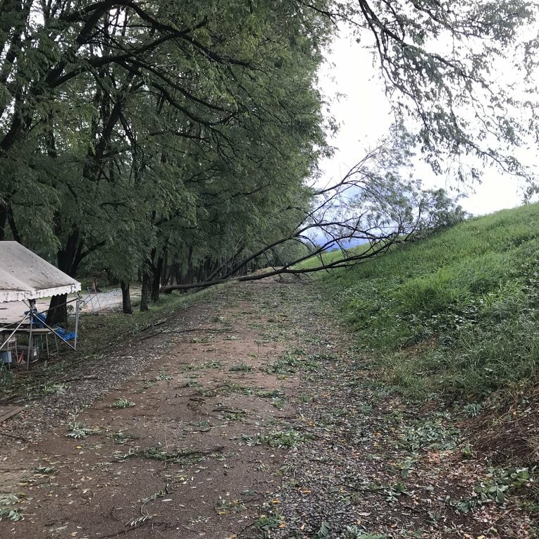 河川敷のコースだけに当初は倒木なども多かったという／取材対象者提供