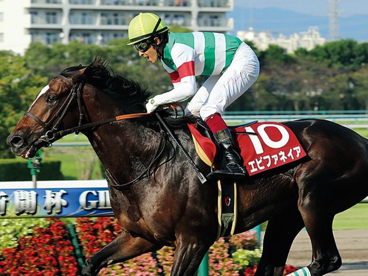 エピファネイア 直筆サインカード 菊花賞　福永祐一　おまけカード付き エピファネイア 直筆サインカード 菊花賞 福永祐一 おまけカード付き