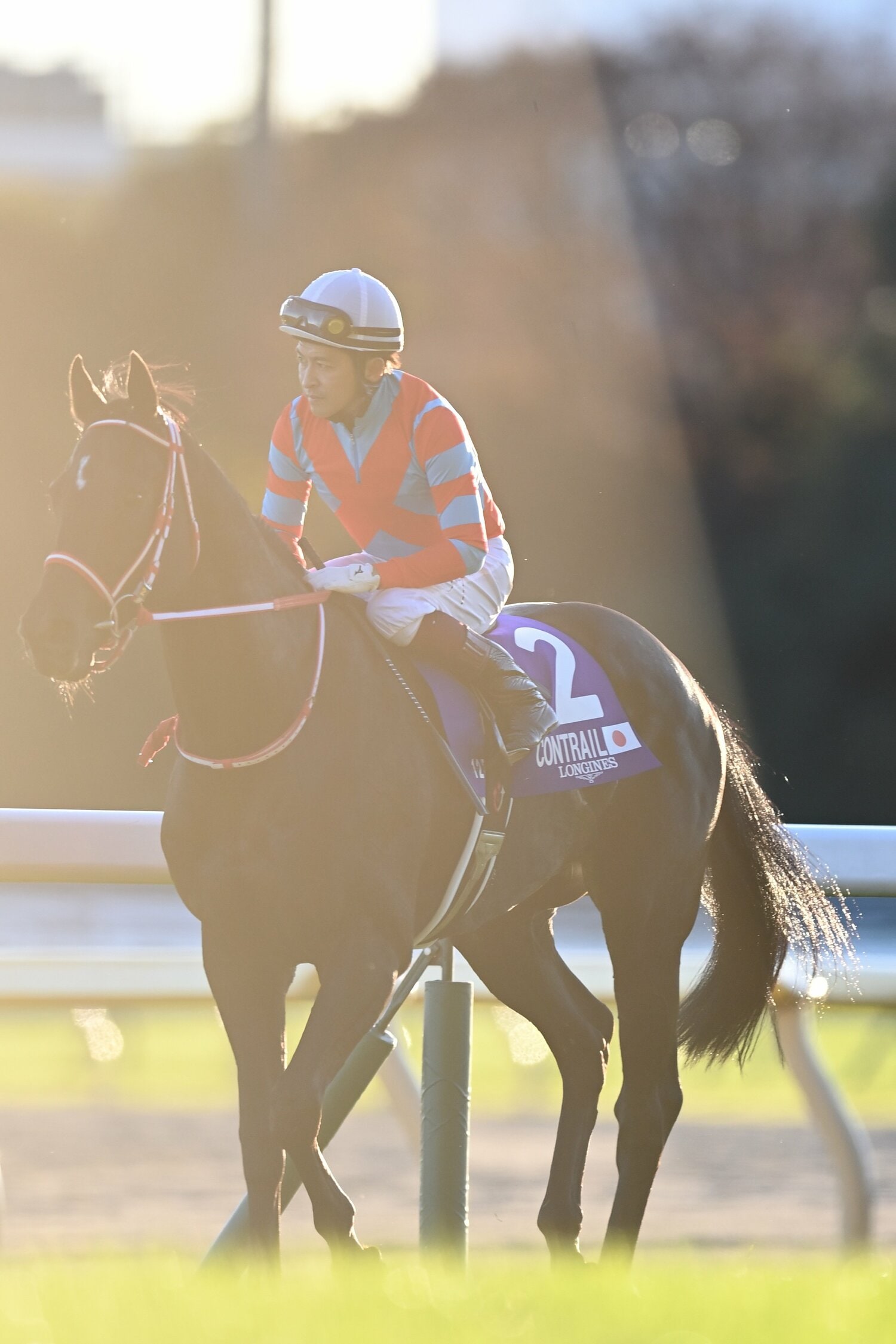 西日に包まれる福永とコントレイル。撮影した石川にとっても、忘れられない一枚となったという