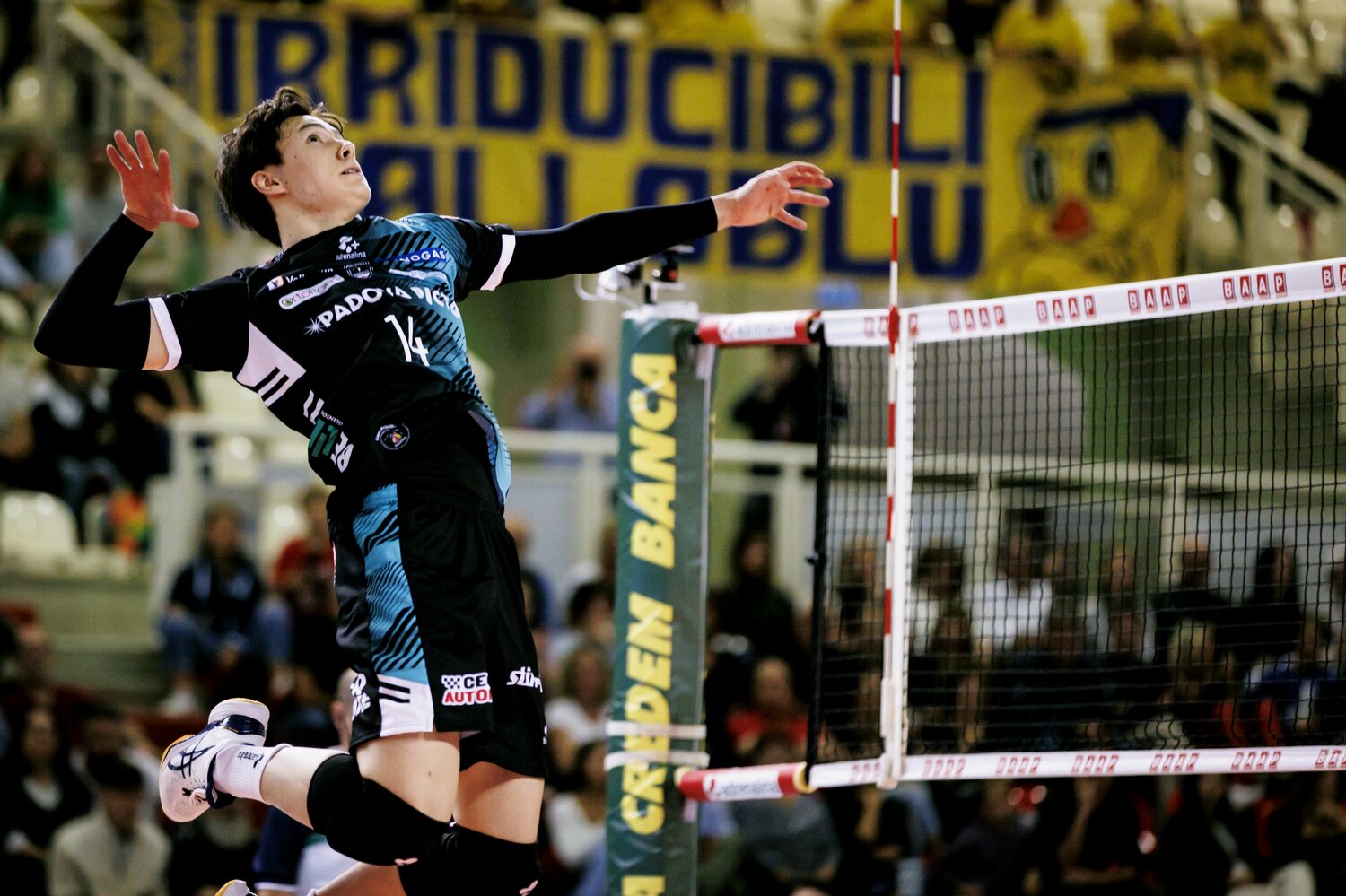 ©︎Kiichi Matsumoto